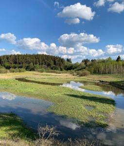 a river with grass and trees in the background at Ferienhaus Daniels in Wirtzfeld