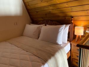 um quarto com uma cama e um tecto em madeira em Pousada Chalés Olaria - Exclusiva para Casais em Tiradentes