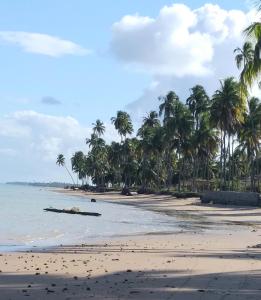 una playa con palmeras y el océano en Flor de Peroba Flats #1 Amarelo - Maragogi - AL, en Maragogi