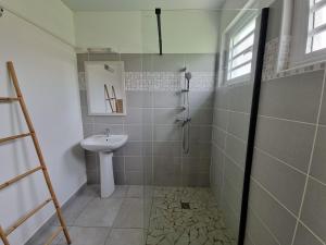 a bathroom with a shower and a sink at Le Royal Horizon in Deshaies +51 photos
