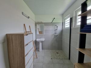 a bathroom with a sink and a shower and a toilet at Le Royal Horizon in Deshaies
