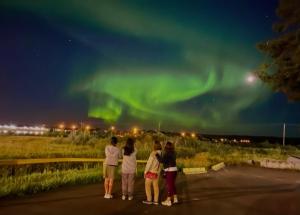 a group of people standing in the street looking up at the aurora at New Imperial Inn in Cold Lake
