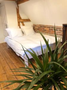 a bed in a room with a plant at Dolina Zdrowia u Skrzypków in Wleń