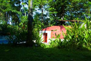 a small house in the middle of a forest at Hotel La Aldea del Halach Huinic in Palenque