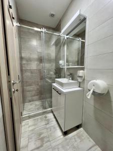 a bathroom with a shower and a sink at Prenociste kod Brana in Čačak