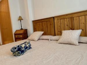 een bed met twee kussens erop bij BPIRINEOS-Albares in Benasque