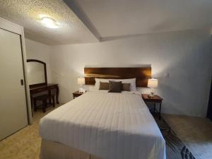 Postel nebo postele na pokoji v ubytování Hotel Posada Santa Fe