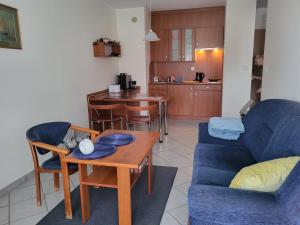 米茲多洛傑的住宿－REZYDENCJA BIELIK，客厅配有蓝色的沙发和桌子