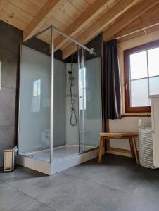 - przeszklony prysznic w pokoju z drewnianym sufitem w obiekcie Chalet Momage dichtbij Skiliften en Bikepark! w mieście Winterberg
