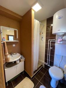 a bathroom with a sink and a toilet and a shower at Brvnare Na Brdu in Šljivovica