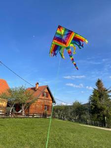 a kite flying in the sky in a field at Brvnare Na Brdu in Šljivovica