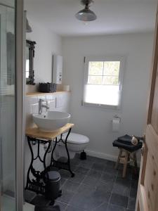 a bathroom with a sink and a toilet at Stachelburg in Monschau +44 photos