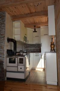 Vila Bridge Tara في بليفليا: مطبخ مع موقد وثلاجة