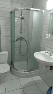 La salle de bains est pourvue d'une douche, de toilettes et d'un lavabo. dans l'établissement Willa Aleksander, à Rowy