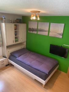 um quarto verde com uma cama e uma televisão de ecrã plano em Chalet Medi em Zermatt