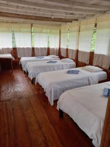 Un grupo de 4 camas en una habitación en Golden waters Lodges, en Iquitos