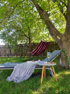 a picnic table and a hammock under a tree at Domek przy winnicy 