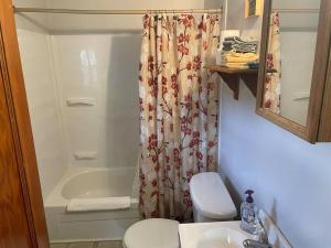 y baño con ducha, aseo y lavamanos. en Cozy cabin #1 at Aspen Ridge Cabins, en South Fork