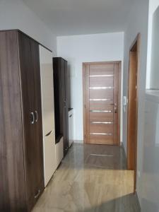 Zimmer mit einem Schrank und einer Holztür in der Unterkunft Apartman Petar in Nova Varoš