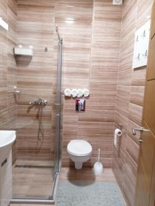 a bathroom with a shower with a toilet and a sink at Apartman Petar in Nova Varoš