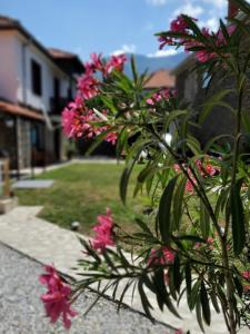 una planta con flores rosas en un patio en Villa Prespa, en Dolno Dupeni
