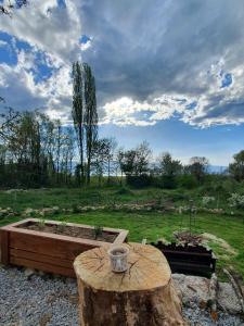 a tree stump with a table in a garden at Villa Prespa in Dolno Dupeni