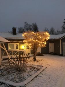a christmas lighted tree in front of a house at Aurora Center 3 in Rovaniemi