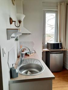 eine Küche mit einem Waschbecken in der Mitte einer Theke in der Unterkunft L'ILE DES PREVOTS in Crosne