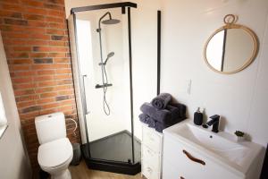 a bathroom with a shower and a toilet and a sink at DOMEK NA WIERCHACH in Piwniczna-Zdrój