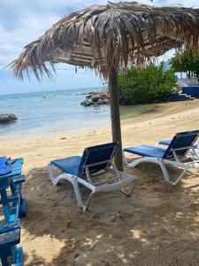 two chairs and an umbrella on a beach at Lush Tropical apartment located in a 4-star resort in Runaway Bay