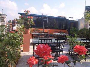 Balcone o terrazza di Bag Packer's Lodge