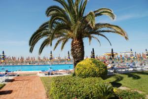 un palmier à côté d'une piscine avec une plage dans l'établissement Hotel Baia Del Sole, à Civitavecchia