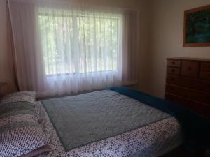 a bedroom with a bed and a window at Cosy Nights - modern, self-contained with parking in Kerikeri