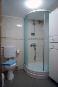 une salle de bain avec douche et WC et une porte vitrée dans l'établissement Apartments by the sea Lumbarda, Korcula - 9325, à Lumbarda