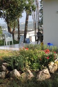 Сад в Apartments by the sea Stara Novalja, Pag - 9416