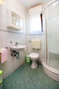 een badkamer met toilet, wastafel en douche bij Apartment Bilo 9467d in Zaboric