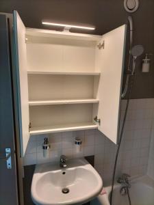 La salle de bains est pourvue d'un lavabo et d'une douche. dans l'établissement Bulle Zen Rennes Homey Home's, à Rennes