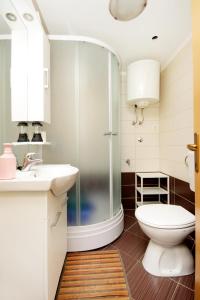 BabinaにあるSeaside secluded apartments Cove Danca - Babina, Korcula - 9322のシャワー、トイレ、洗面台を備えたバスルーム