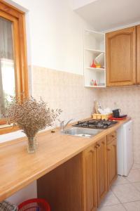 Kuchyň nebo kuchyňský kout v ubytování Apartments by the sea Dinjiska, Pag - 9386 + 23 fotografií