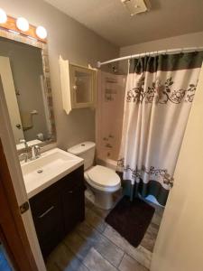 a bathroom with a toilet and a sink and a shower at Dog friendly Chalet in the Woods w/Pool-Mt. Snow in Wilmington