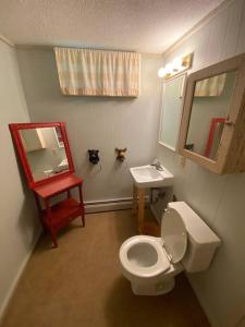 a bathroom with a toilet and a sink and a mirror at Dog friendly Chalet in the Woods w/Pool-Mt. Snow in Wilmington