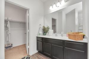 ein Bad mit einem Waschbecken und einem Spiegel in der Unterkunft CHARMING 4 BEDROOMS BROOKSHIRE/KATY WITH GYM in Brookshire