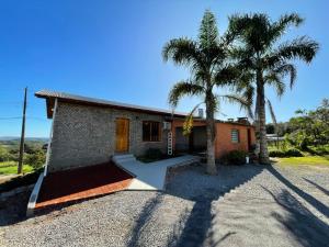 本圖貢薩爾維斯的住宿－Casa Vita BG - Casa de campo，两棵棕榈树在房子前面