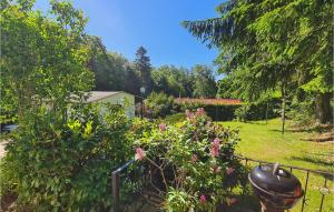 Zahrada ubytování Pet Friendly Home In Harzgerode Ot D, + 7 fotografií