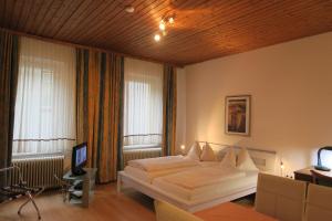 a bedroom with a bed and a television in it at Appartement Mosser in Villach