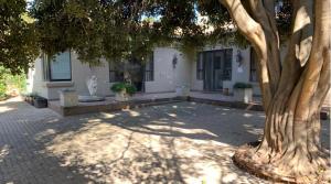 a large tree in front of a white building at PepperTree Guest House in Johannesburg