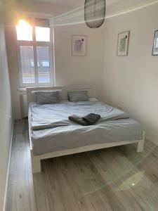 a bedroom with a bed in a room with a window at Lovely 2-bedroom apartment in centre of Bratislava in Bratislava