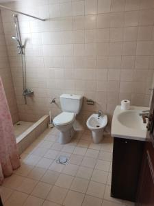 a bathroom with a toilet and a sink and a shower at Talabay AQABA in Aqaba