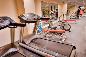 Fitness centrum a/nebo fitness zařízení v ubytování Signature Hotel Al Barsha