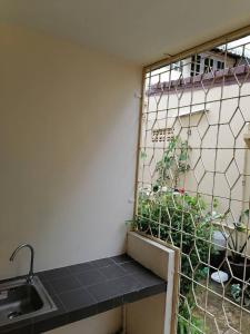 a kitchen with a sink and a plant next to a window at Orm Thong Hotel - SHA Plus in Kathu